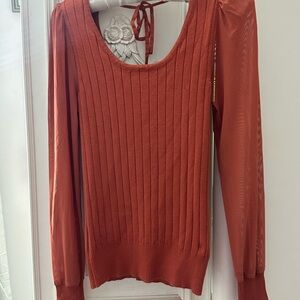 Burnt orange color top with mesh sleeves.